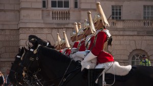 Horse Guardsmen lined up and ready