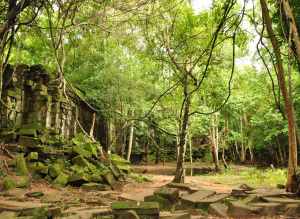 The tumble down Bang Melay temple in Cambodia