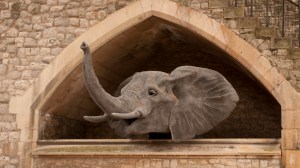 Kendra Haste Elephant peers through an opening in the walls at the Tower of London
