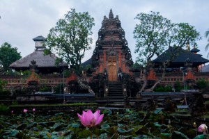 Lotus Garden and Water Palace - Pura Taman Saraswati